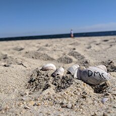 Beachin’, Bikin’, & Floatin’: Boston YOE 2018