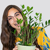 Rose Appel - Fun