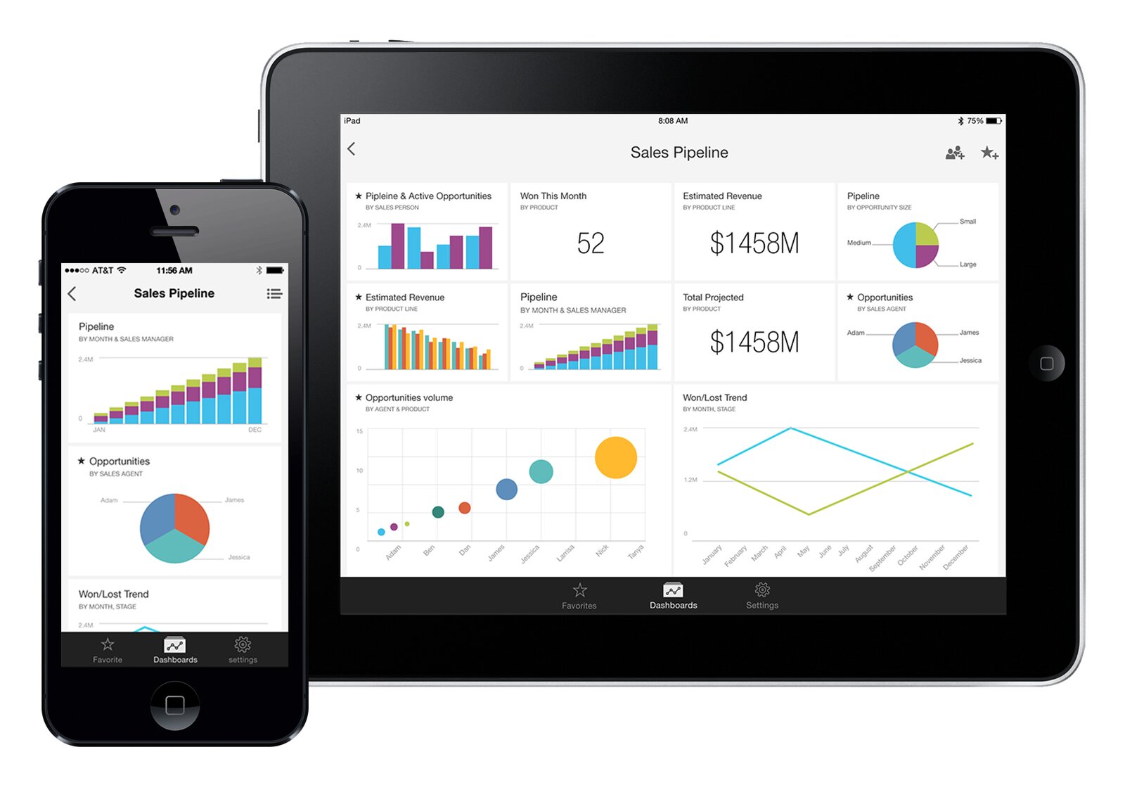 Custom Application Development