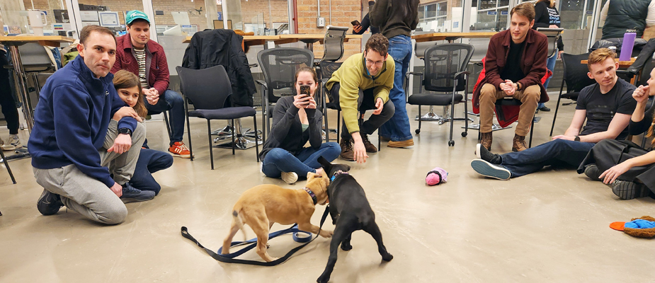 A Puppy Welcome Party at DMC Chicago