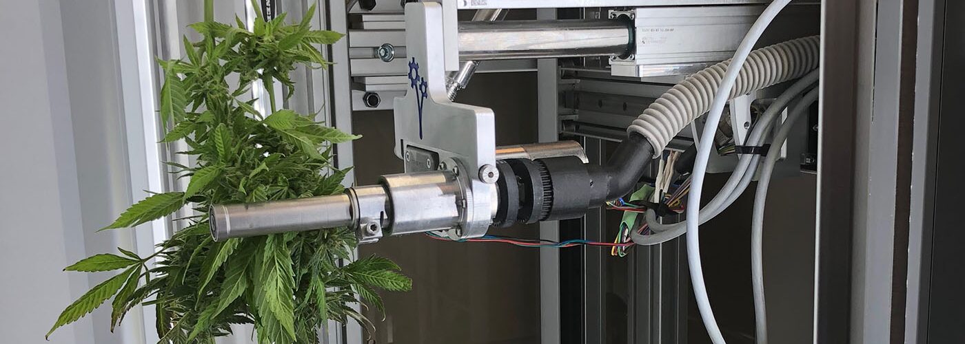 Robotic Cannabis Trimming Machine
