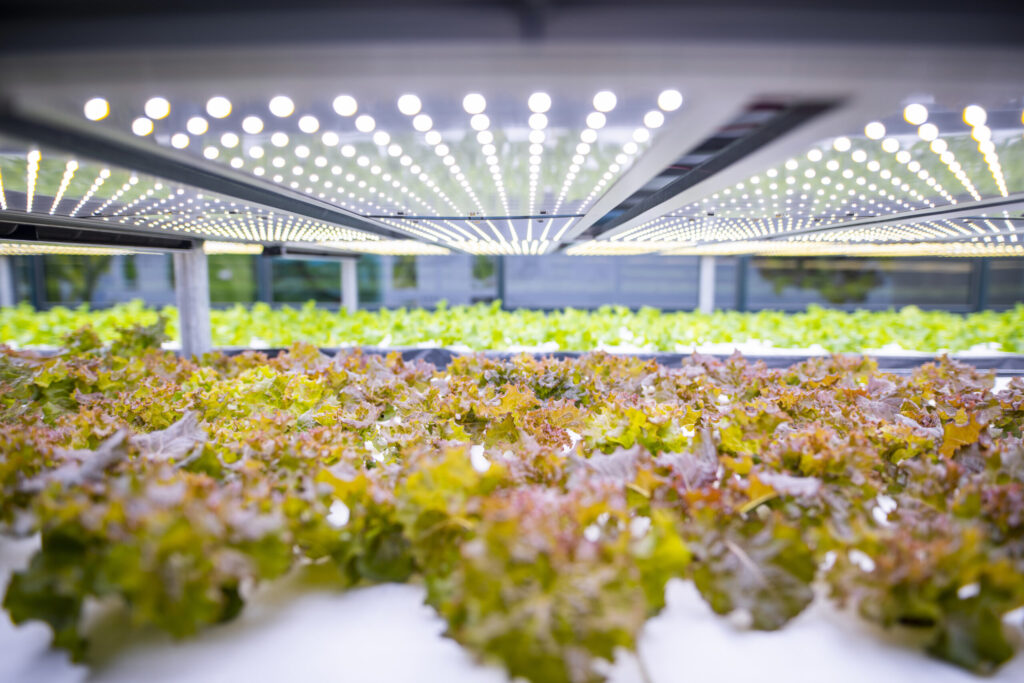 Agricultural Automation